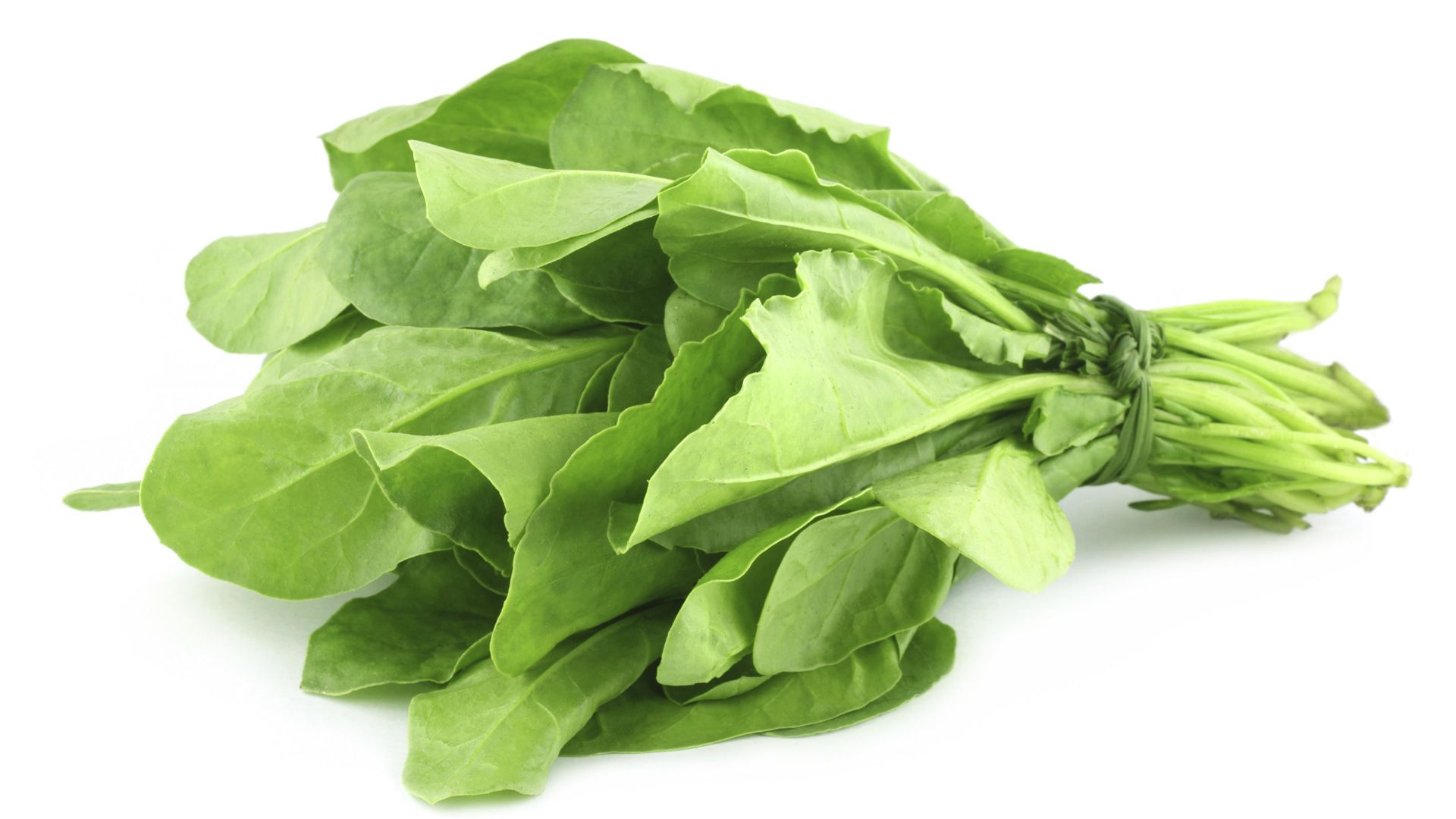 Palakura(Spinach) - (1KG) - Buy Palakura(Spinach) - (1KG) Online at Best  Price in India | Biodorf.com